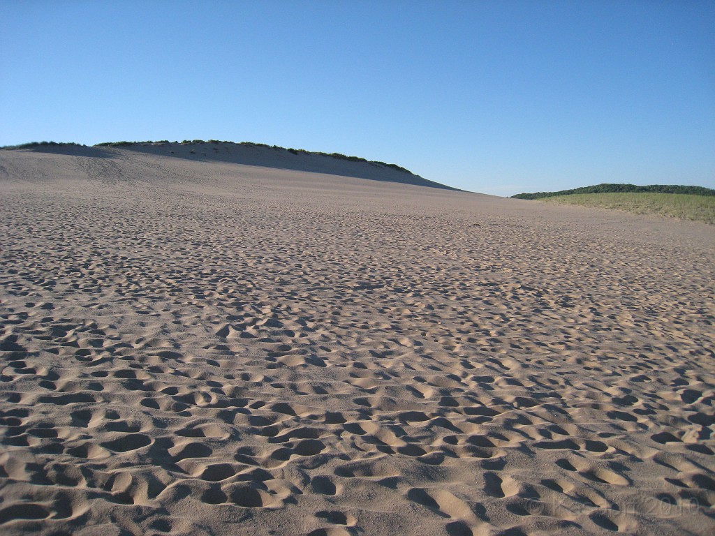 Michigan TC 2010-07 0890.jpg - LOTS of sand......